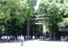 Entrance Torii